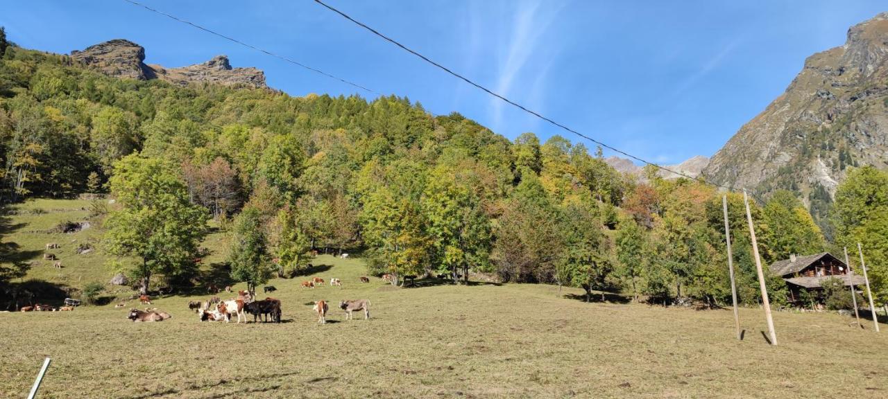 Agriturismo Alagna Exterior foto